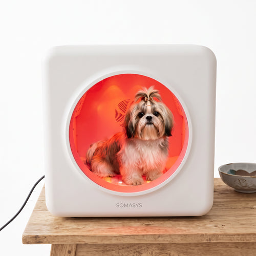 F18 Pet Therapy Chamber